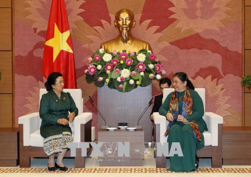 加强越老两国国会民族委员会的合作