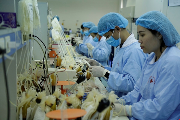 中央血液学与输血医学院下属的国家血液中心正式成立
