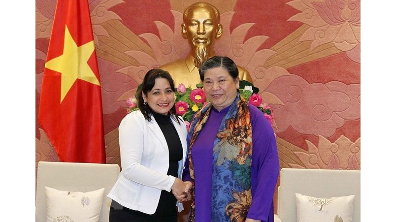 越南国会常务副主席丛氏放会见古共青盟第一书记