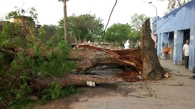 印度北部强风和暴雨灾害造成至少97人死亡