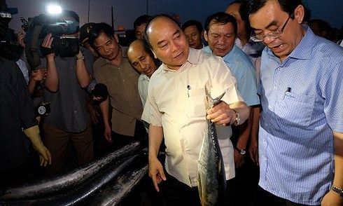 阮春福总理亲自检查环境事故克服工作