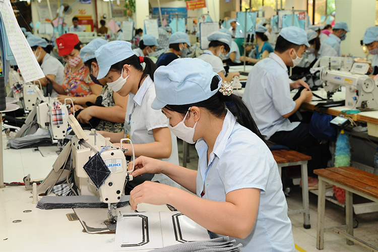 澳大利亚是越南纺织品的潜力出口市场