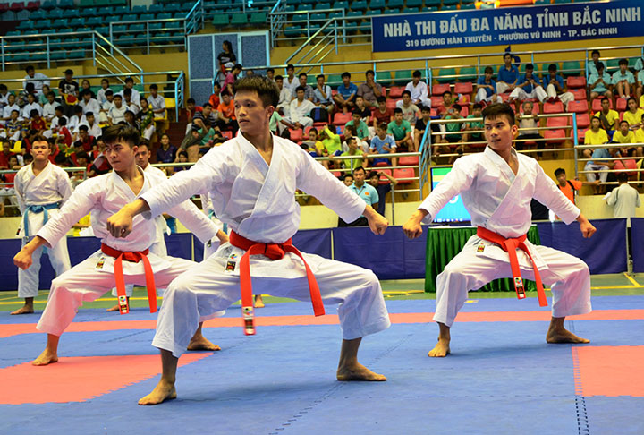 北宁省运动员在3个国际体育赛事中夺得11枚奖牌