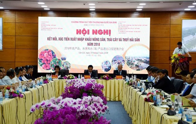 促进越南老街和中国云南两省农产品进出口活动