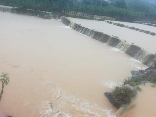 越南全国各地努力帮助灾民克服台风后果