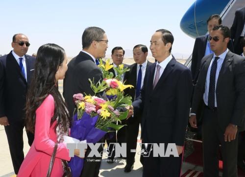 国家主席陈大光开始对埃及进行国事访问
