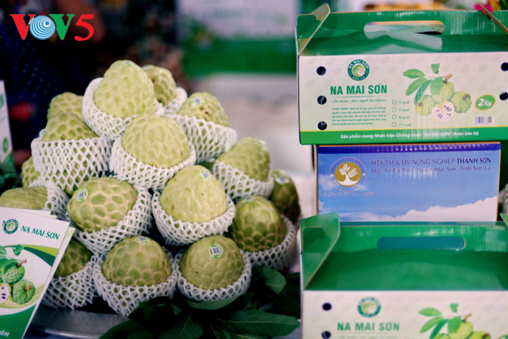 梅山番荔枝品牌证书颁发仪式