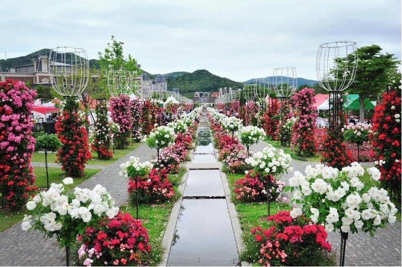 Dio Group 集团投建三个重点旅游区