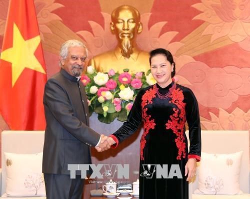 国会主席阮氏金银会见联合国常驻越南协调员