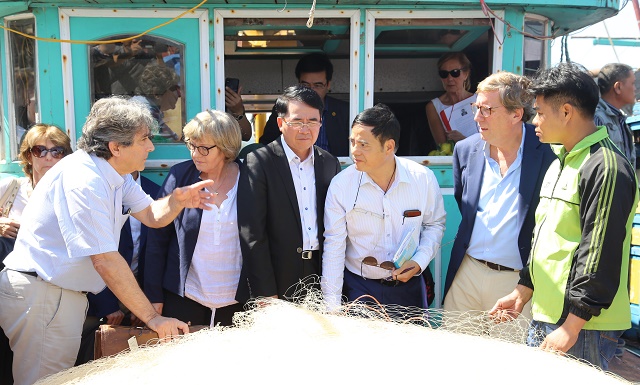 欧洲议会渔业委员会代表团考察海防市