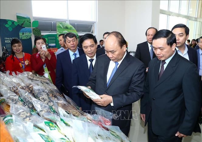 阮春福总理提出高平省三大经济发展方向