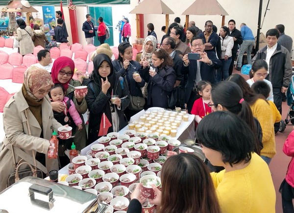 向驻土耳其安卡拉东盟社群推广越南文化