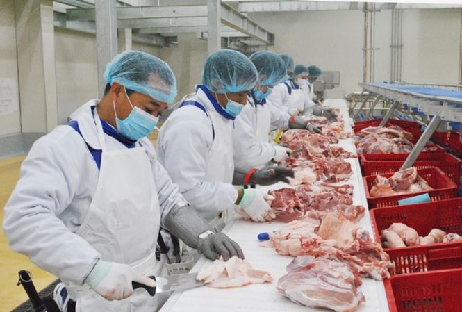 达欧洲标准的冷鲜肉亮相越南市场
