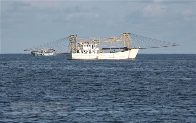 越中海上低敏感领域合作专家工作组第十二轮磋商在中国广东省举行