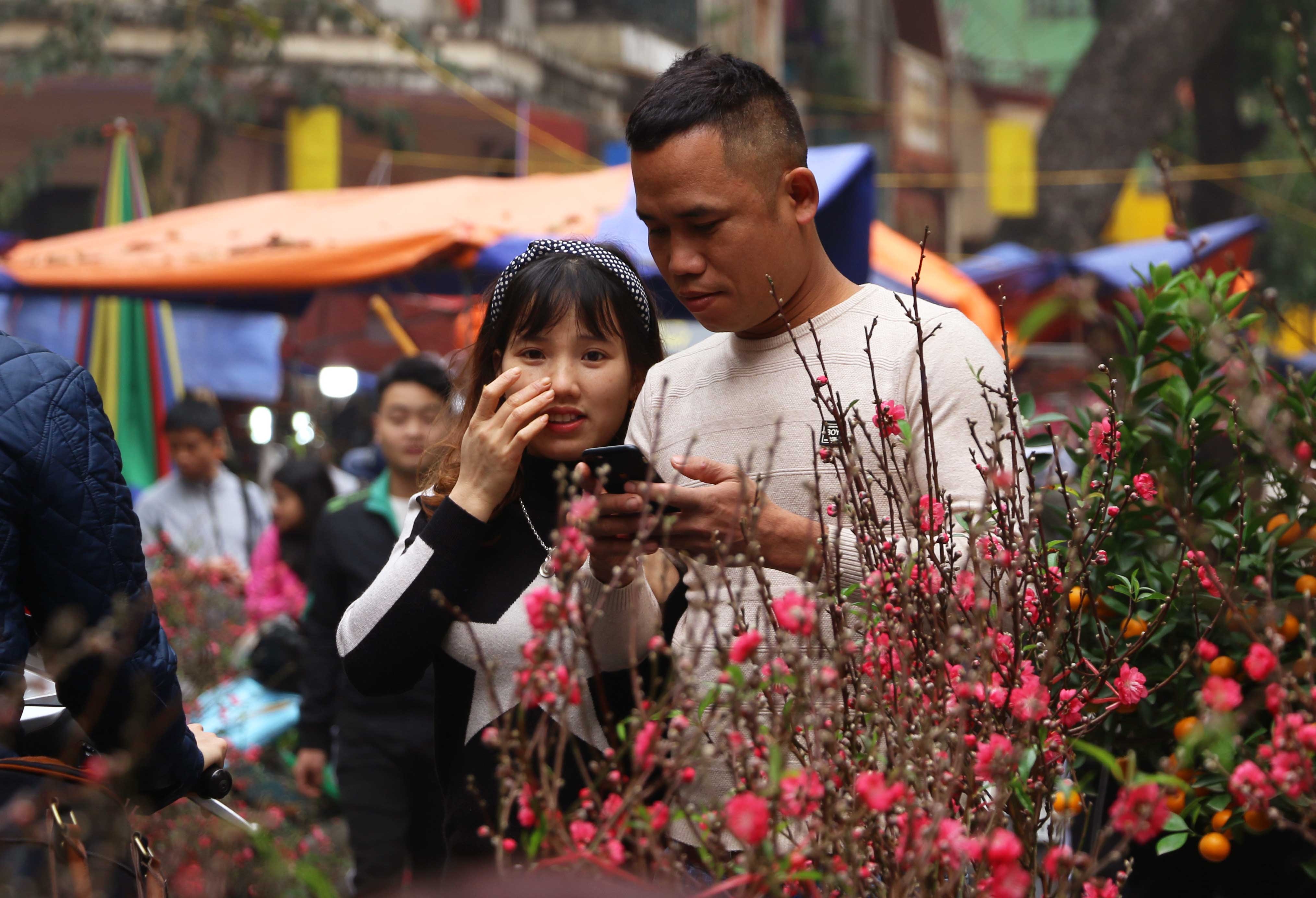 河内500岁花市年味浓