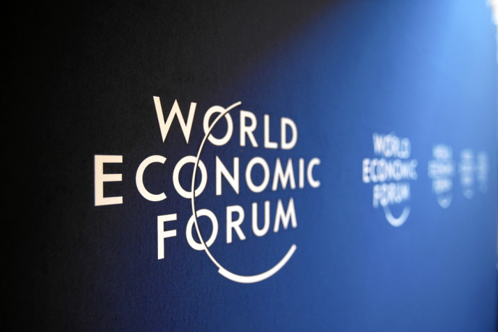 WEF将与越南合作展开一些重要项目