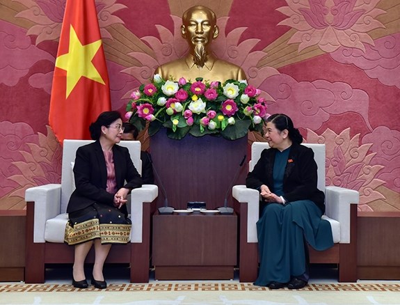 进一步加强越老审计领域的合作力度