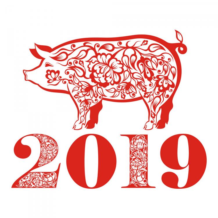 猪在越南民间文化中的形象