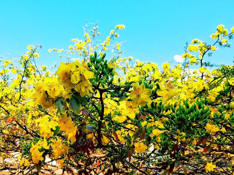 南部人的过年习俗与禁忌