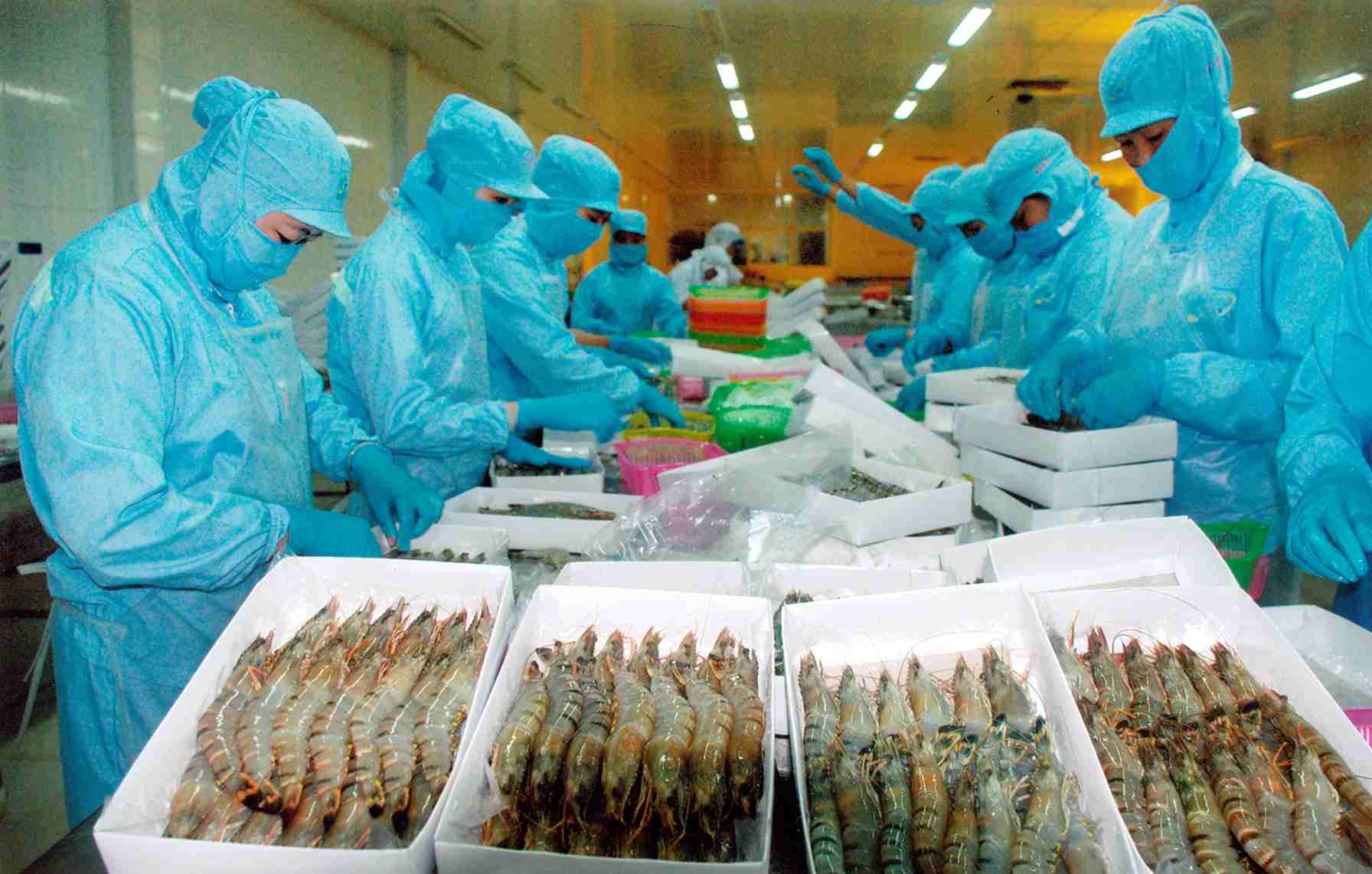 2019年越南力争虾类出口额达42亿美元