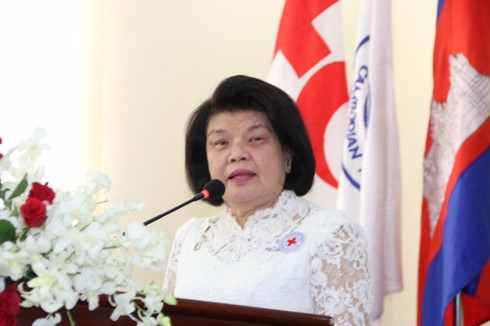 柬埔寨国会代表团对越南进行访问