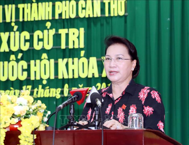 越南国会主席阮氏金银会见芹苴市选民