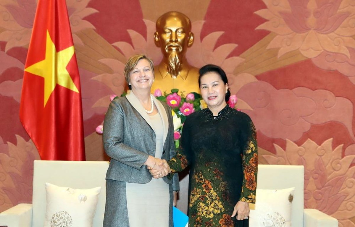 越南国会主席阮氏金银会见联合国儿童基金会驻越首席代表