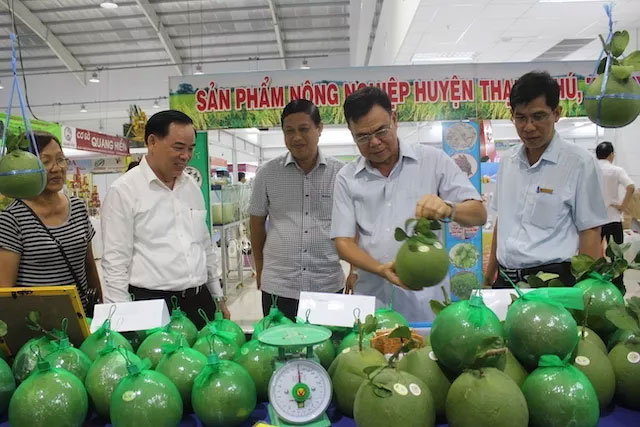 九龙江平原地区农业与“一乡一品”产品展览会开幕