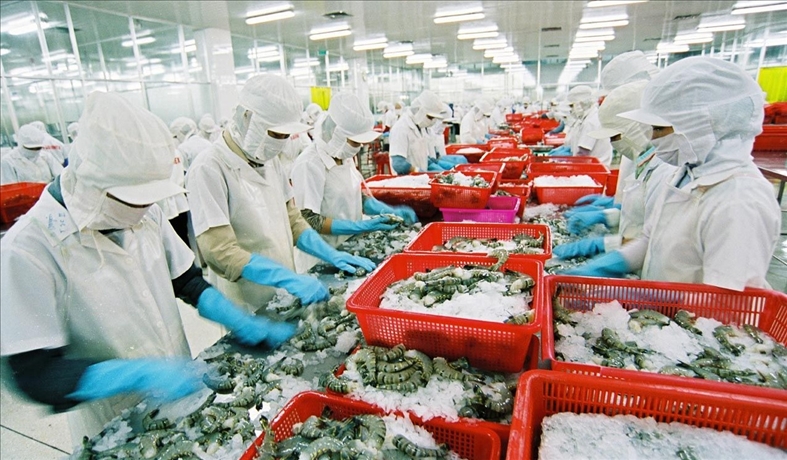 越南无公害和可持续虾类生产联盟正式成立