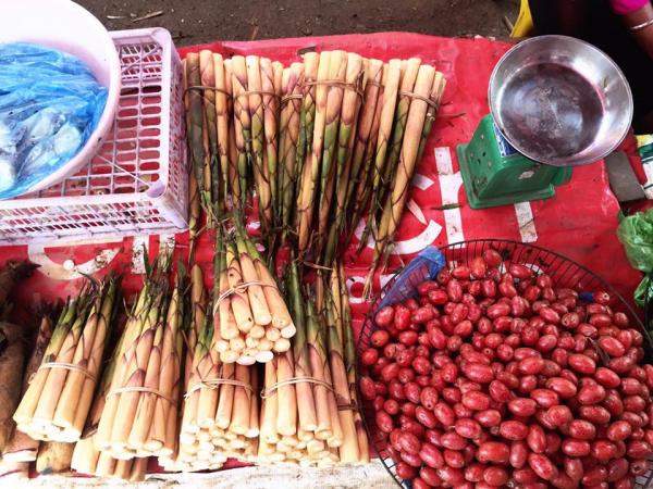 越中两国企业签署农林产品销售合作意向书