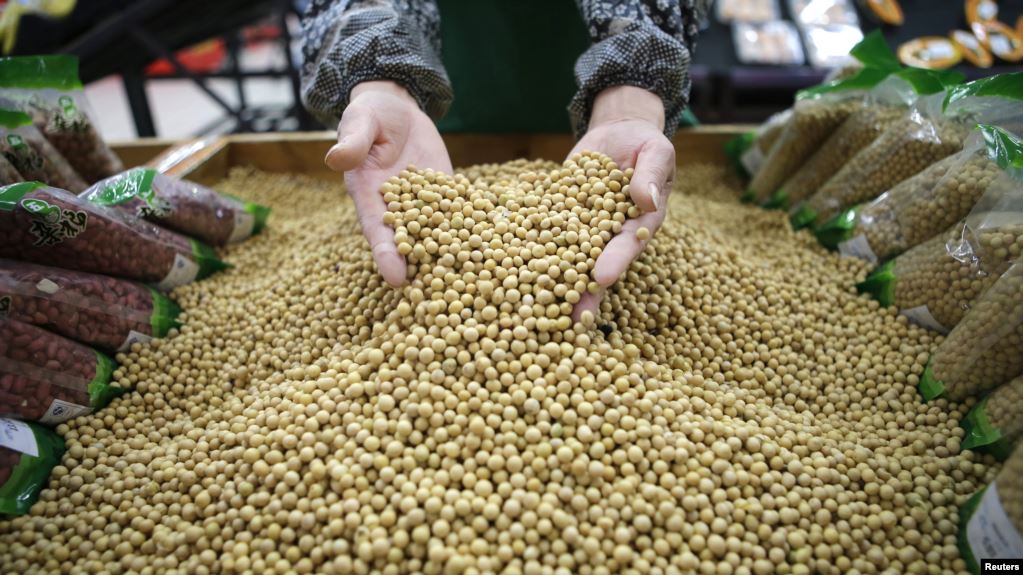 中国确认停止购买美国农产品