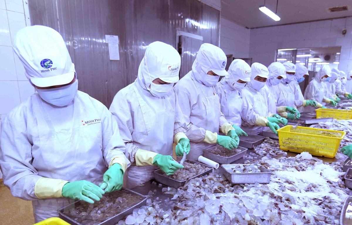 芹苴大学和日本公司成功研发以虾壳为原料的食品原料生产规程
