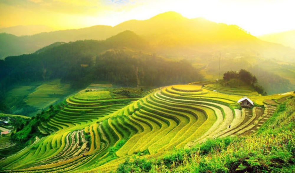 2019年黄树皮县梯田旅游文化周：2019年越南茶艺师比赛