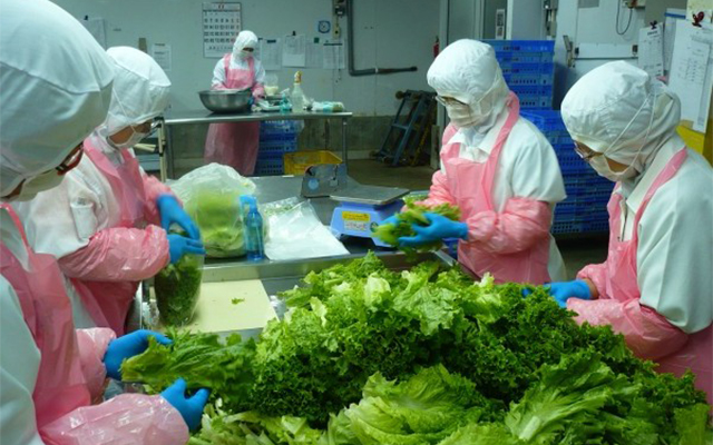 越南推进对亚欧市场的蔬果出口