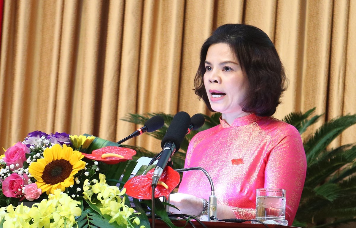 阮国钟、阮香江分别当选北宁省人民议会和人民委员会主席