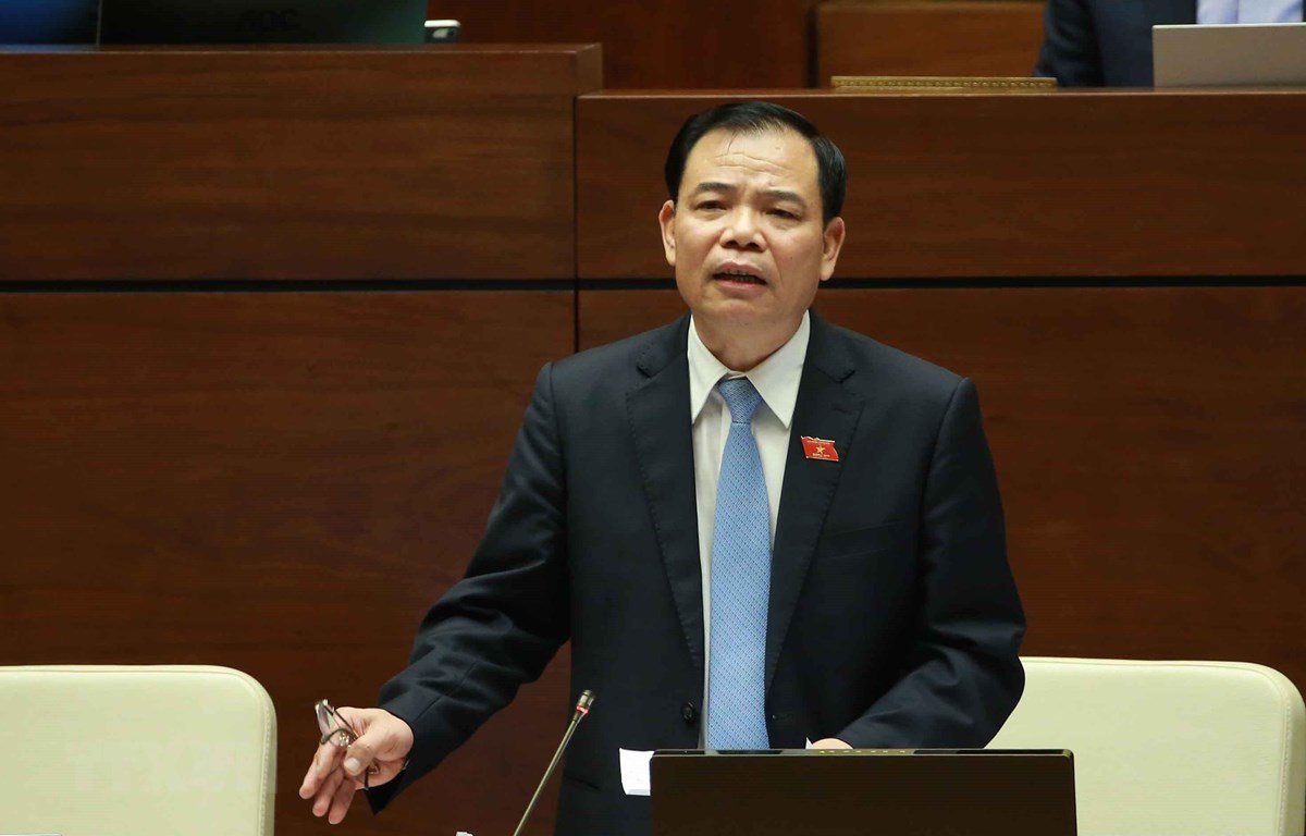 越南国会第八次会议专题询问活动开幕