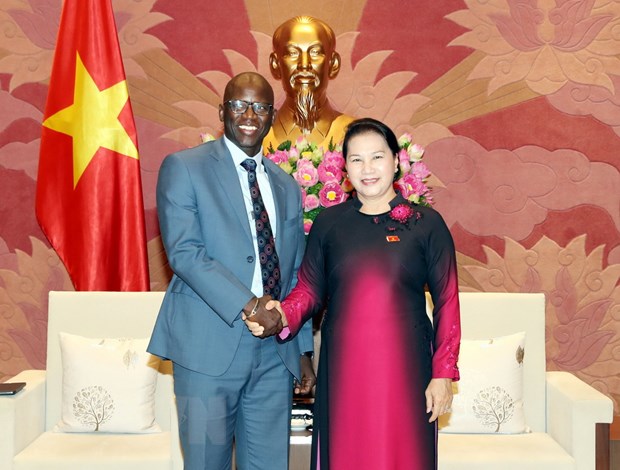 世行驻越首席代表：越南可成为各发展中国家的典范