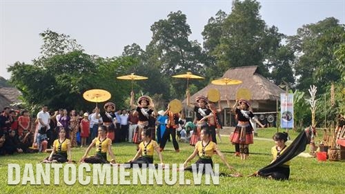 题为“花色”的2020新年喜迎活动亮相河内