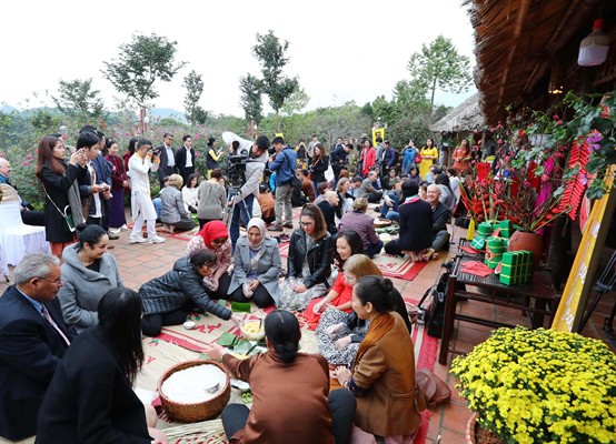 各国驻越外交使团感受越南传统春节氛围