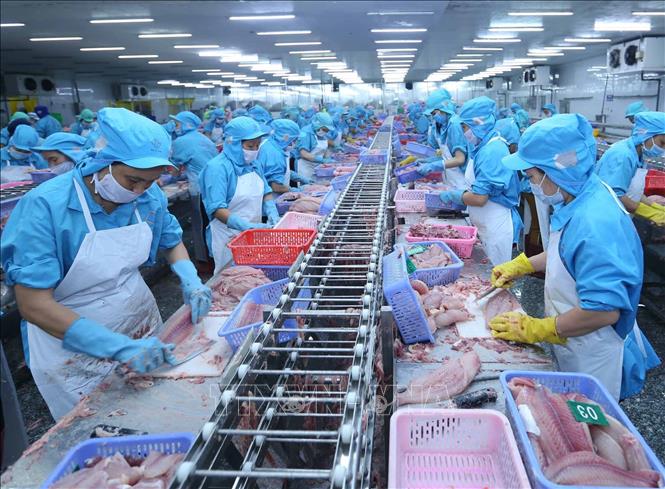 2020年越南农林水产品的出口仍有增长空间