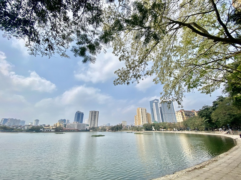 黄檀花令河内如梦如幻