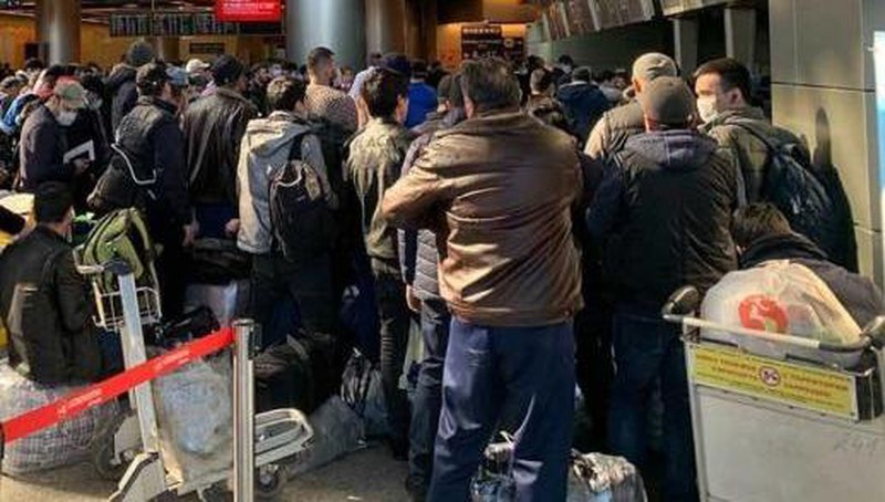 将滞留在莫斯科国际机场的越南公民送回国