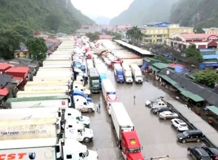 工贸部建议政府允许恢复越中边境省级口岸通关