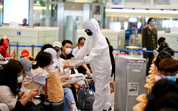 3月26日0时起暂停运载旅外越南人落地内排机场