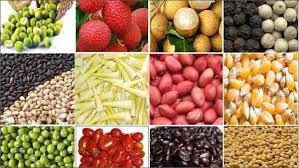 安江省积极协助受新冠肺炎疫情影响的企业