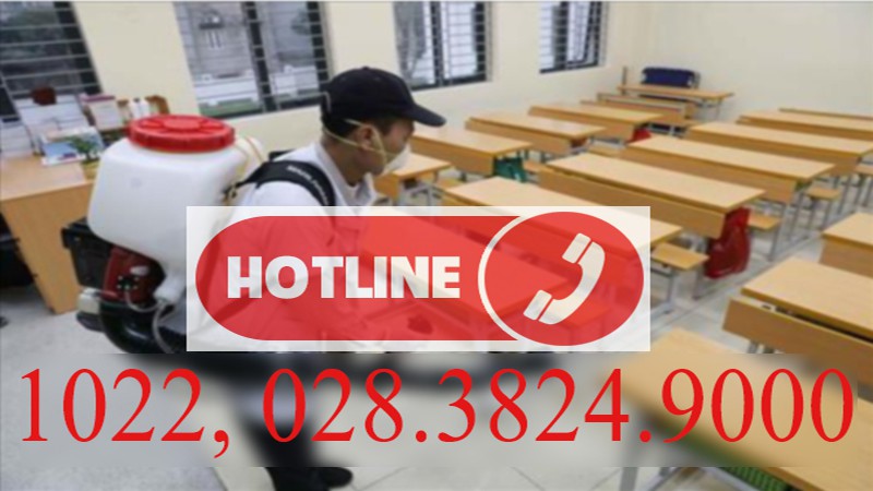 胡志明市新冠肺炎疫情防控热线正式投入使用