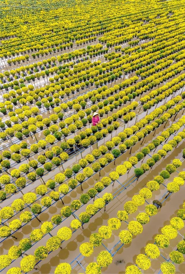 越南关于 “水”主题的摄影佳作