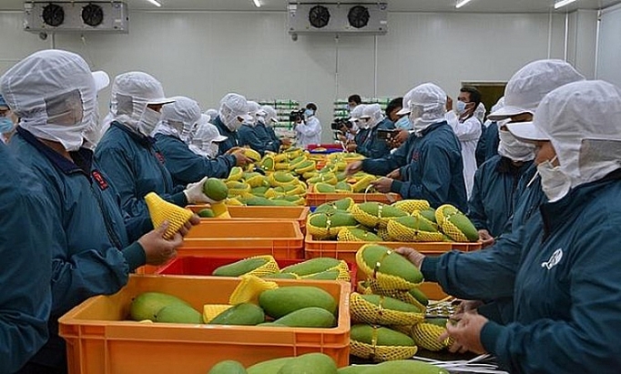 2020年第一季度 越南蔬果出口额达8 31亿美元