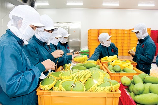 年初前4个月越南农林水产品贸易顺差28亿美元
