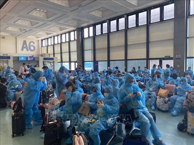 将身在中国台湾的约340名越南公民安全接送回国